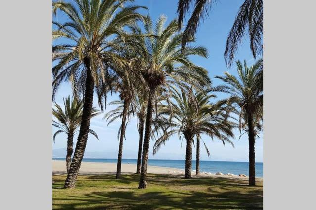 Apartamento Minerva Jupiter. The Perfect Accommodation For Your Vacation Benalmádena Exteriör bild
